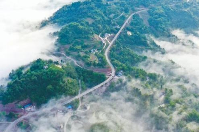 泸州G546公路变身“绿色走廊”！一起来看美丽交通建设如何助推城乡低碳融合