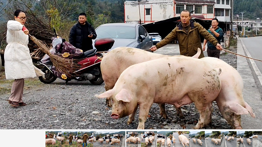三十天：泸州有礼公司的商业加速度~