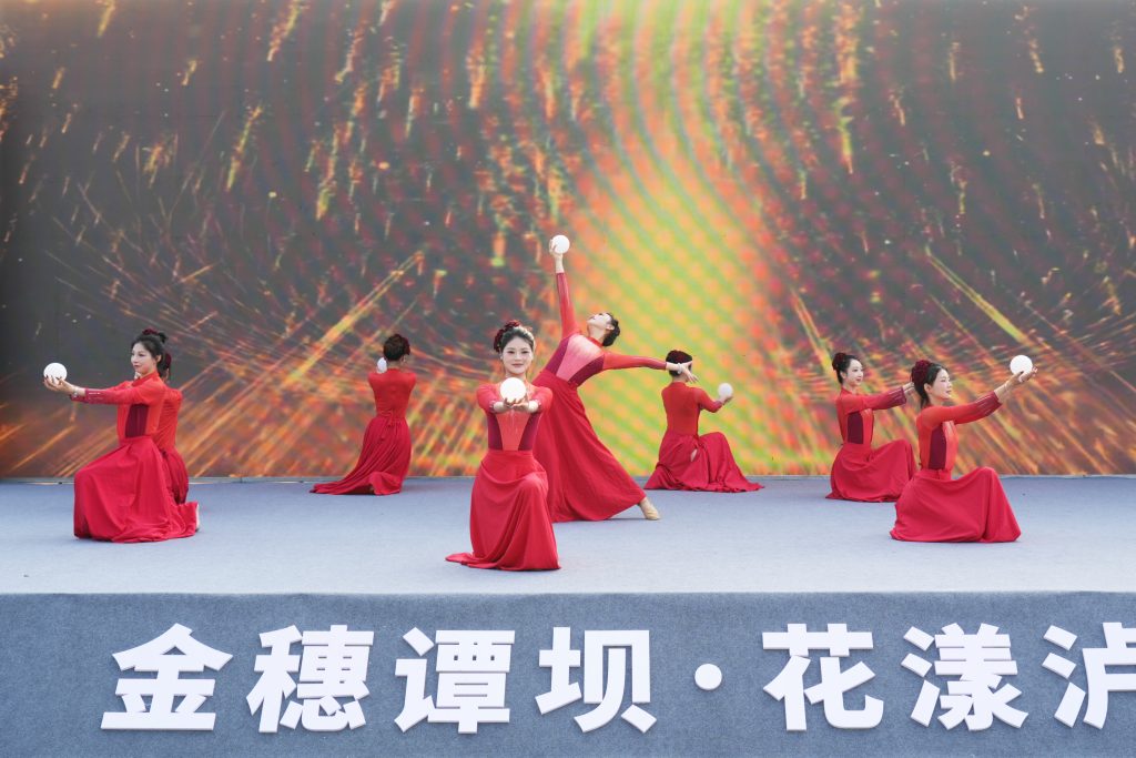 花开六载,香飘四方:泸县谭坝菜花节今日开幕,绘就“农文旅商”融合新画卷