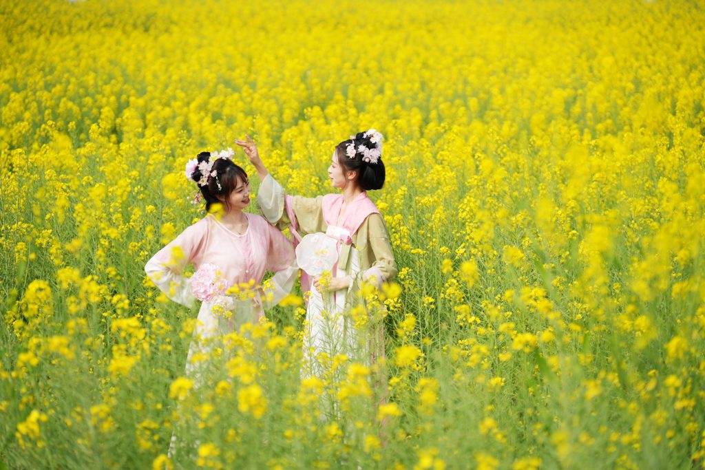 花开六载,香飘四方:泸县谭坝菜花节今日开幕,绘就“农文旅商”融合新画卷