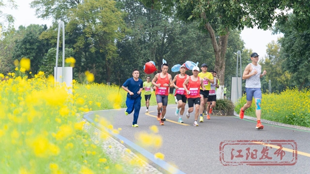 江阳的春天里,每一步都绽放!(图14) 14.jpg