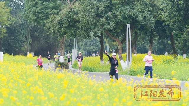江阳的春天里,每一步都绽放!(图12) 12.jpg
