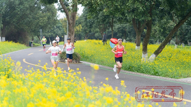 江阳的春天里,每一步都绽放!(图13) 13.jpg