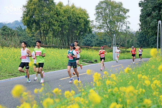 江阳的春天里,每一步都绽放!(图15) 15.jpg