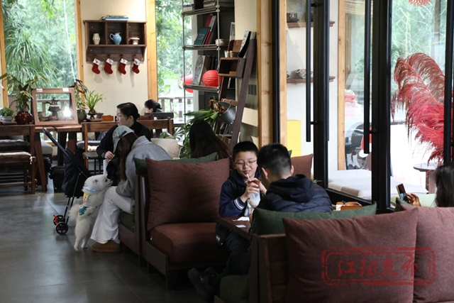 江阳的春天里,每一步都绽放!(图56) 56.jpg