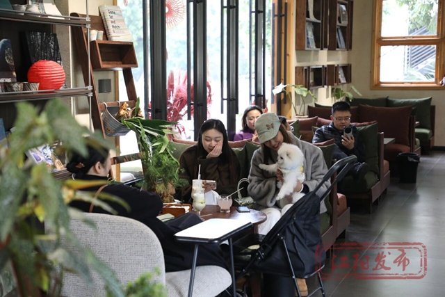 江阳的春天里,每一步都绽放!(图55) 55.jpg
