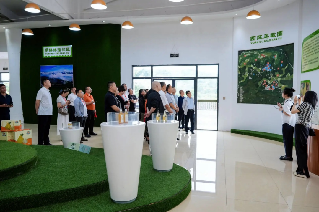 凝聚网联新阶力量 共助乡村振兴——省网联会、省新联会赴泸州开展服务考察活动